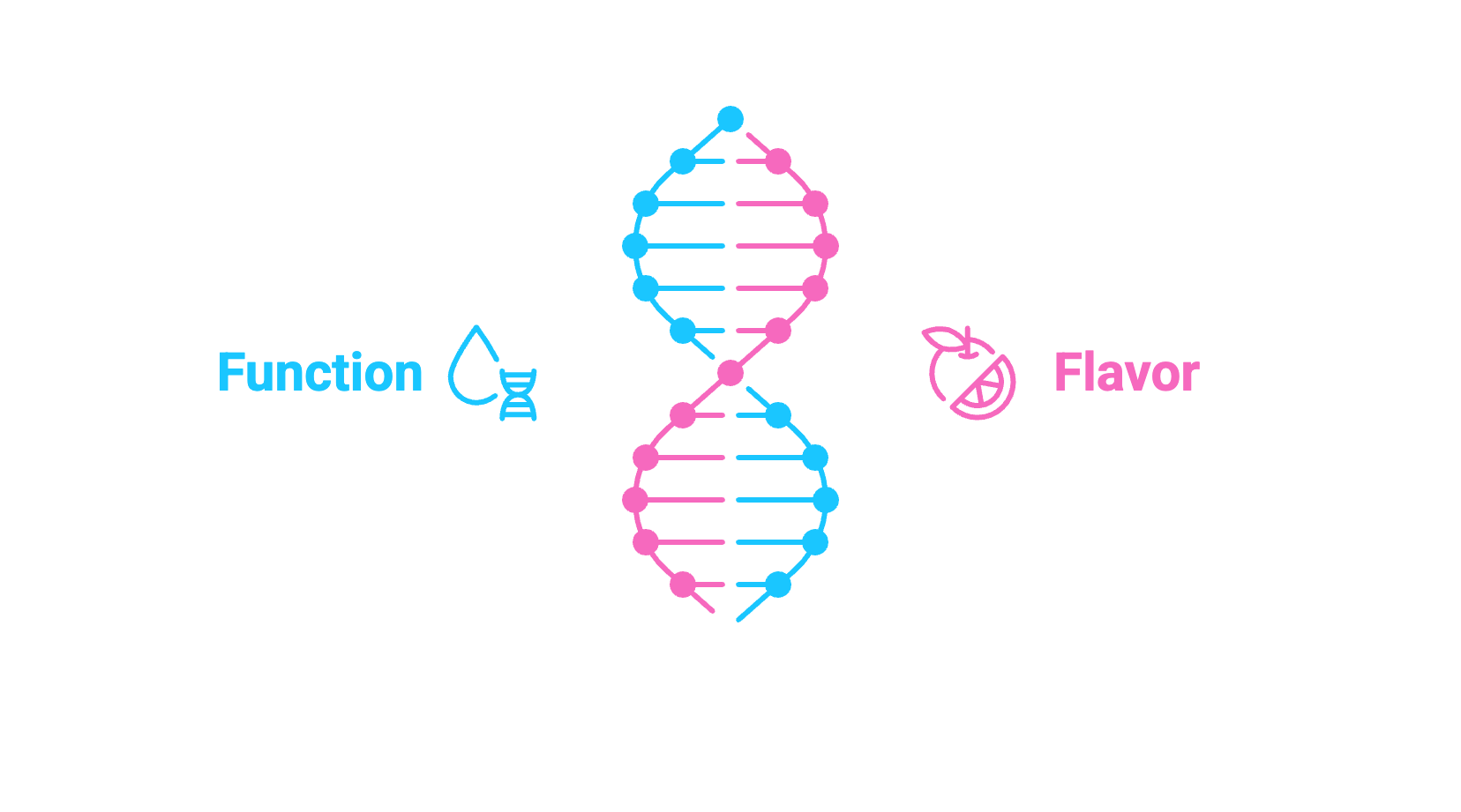 Diagram of a DNA double helix with 'Function' and 'Flavor' labels on a white background
